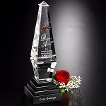 Epitome Award 12